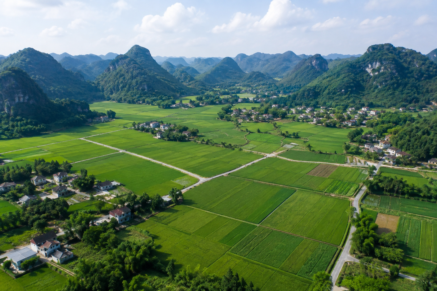 Không gian xanh minh họa